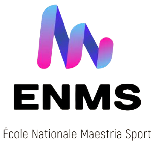 Logo enms